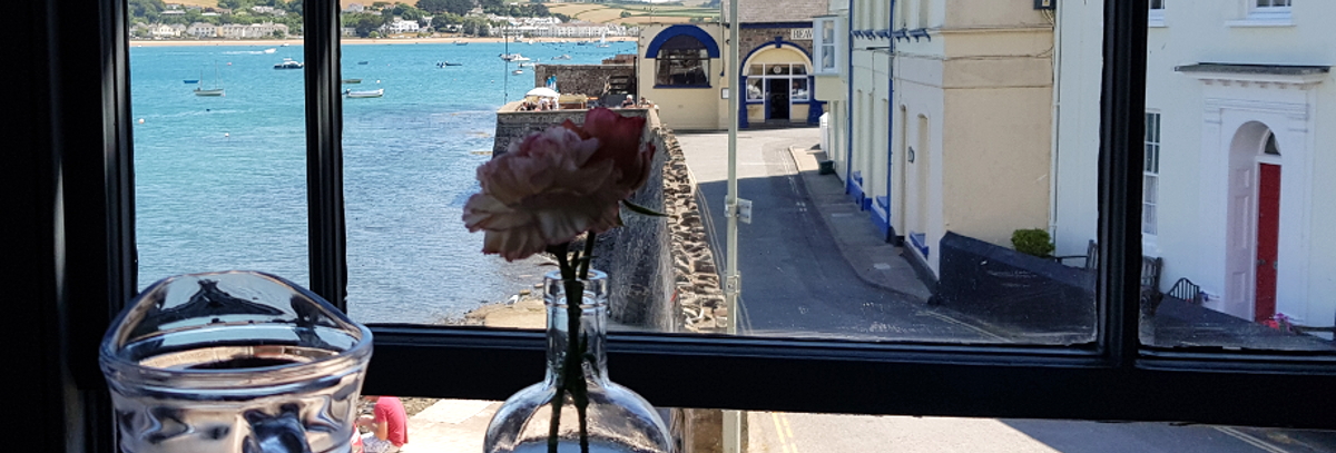 The 'rather splendid' view from Appledore in North Devon does not look into the windows of neighbouring property