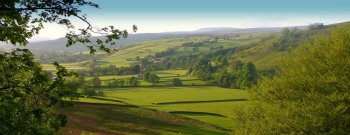 Britain's Green and Pleasant Land - Under threat