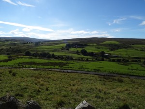 Hexham, Northumeberland - rural view