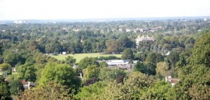 Twickenham_Green Green in the distance
