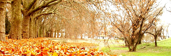autumn-statement-2013-property-related-matters