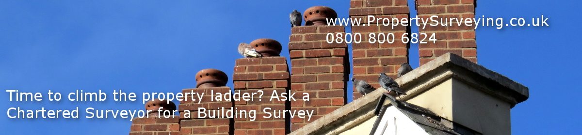 Property Surveying NEWSLETTER