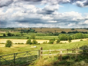 Rural English Land