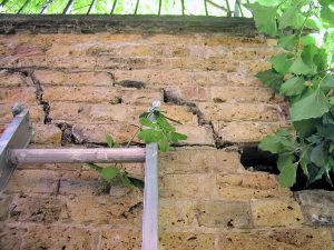 Cracks wider than a 10p piece can indicate subsidence