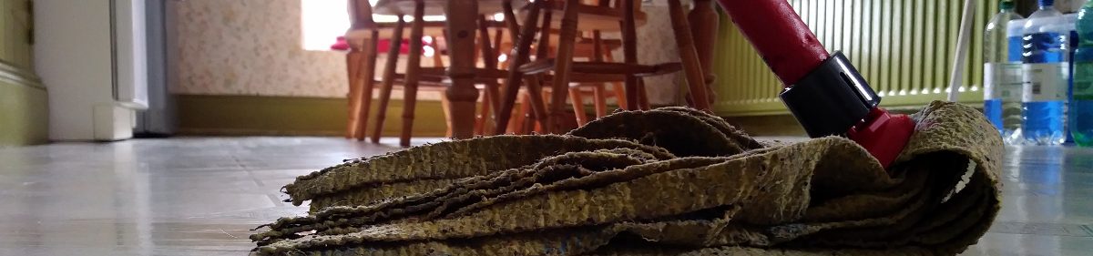 image of a house kitchen being cleaned 