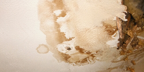 Defect - Damp