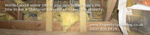 Ask a Chartered Surveyor for a building survey