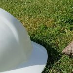 Woodland purchase could reduce Inheritance Tax