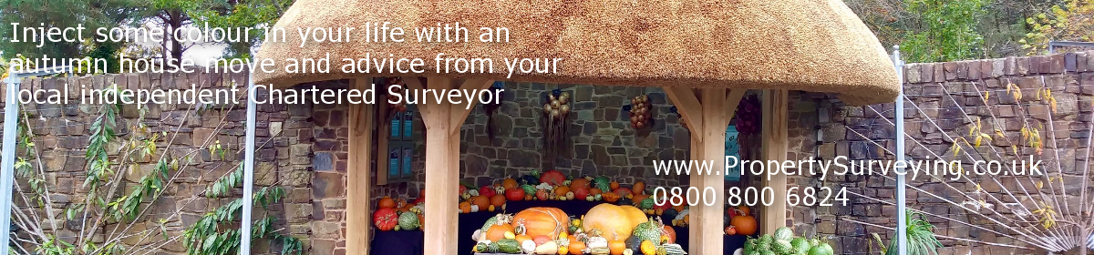 Property Surveying NEWSLETTER