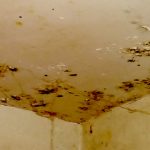 Condensation damage bathroom ceiling