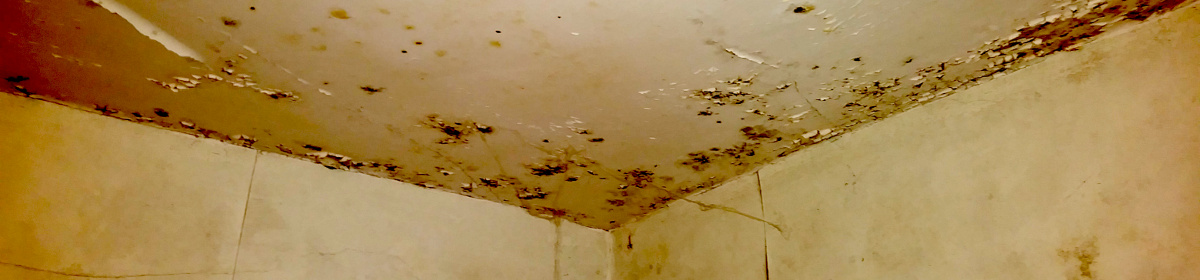 Condensation damage bathroom ceiling