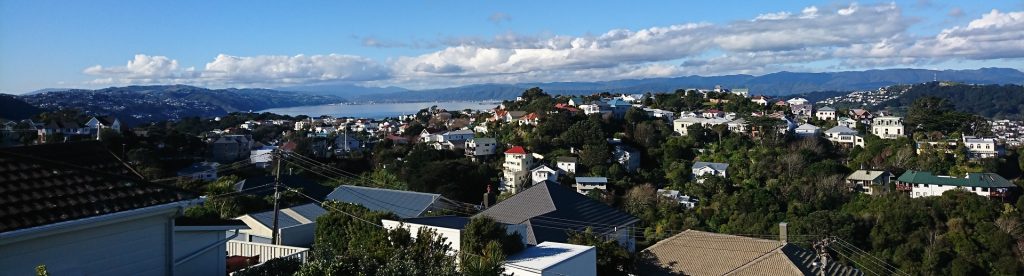 Houses in Wellington, New Zealand