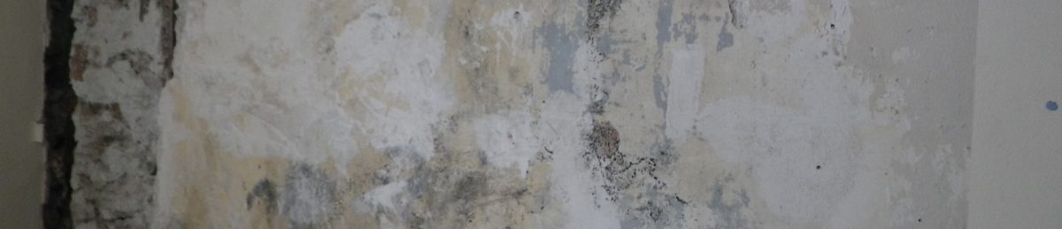 mould in the home