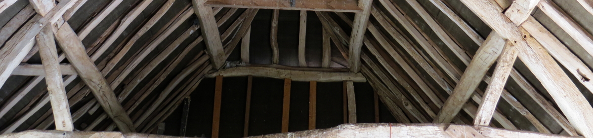 roof timbers from old property survey