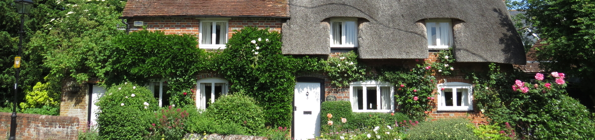 thatched roof property