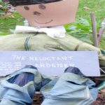 The reluctant gardener pot plants London banned ornaments