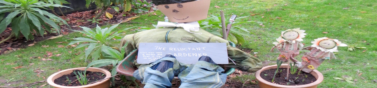 The reluctant gardener pot plants London banned ornaments