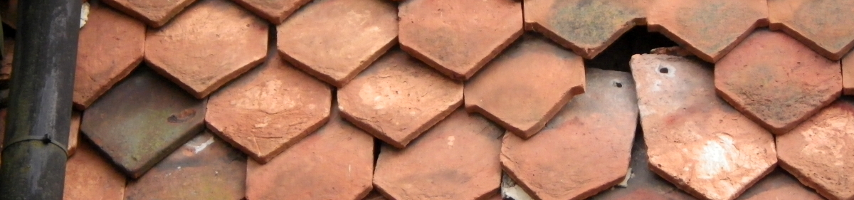 image of clay tiles on a house roof