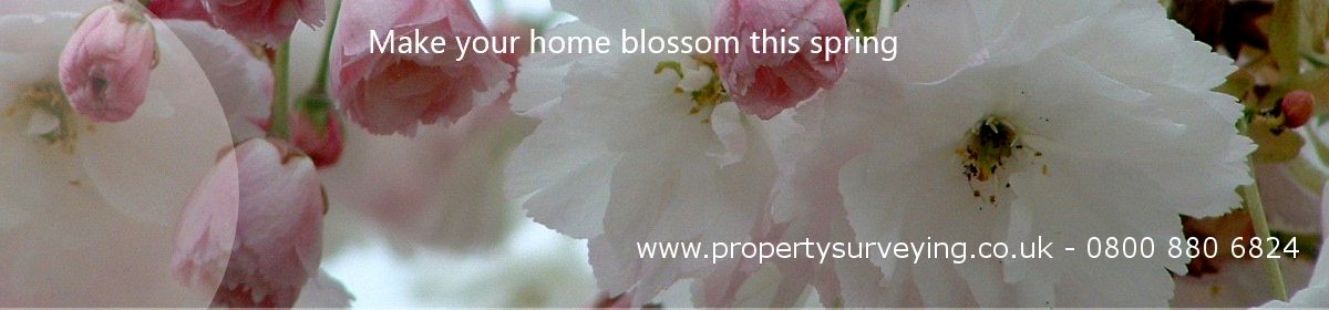 Property Surveying NEWSLETTER
