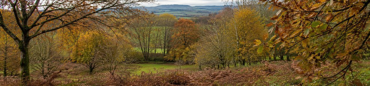 Property Surveying NEWSLETTER
