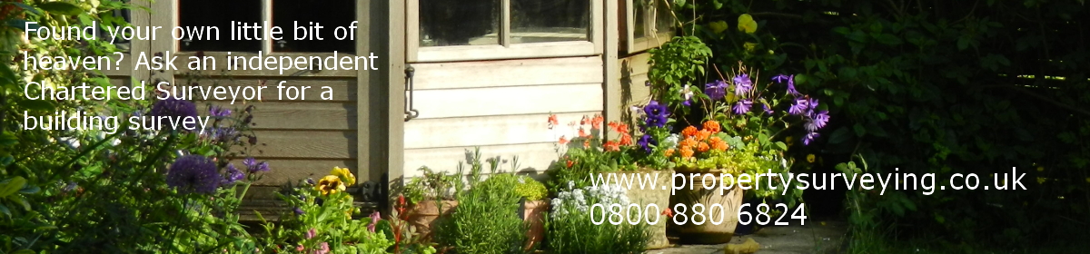 found your own little bit of heaven? get a chartered surveyor building survey