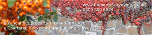 buying a hot property this autumn?