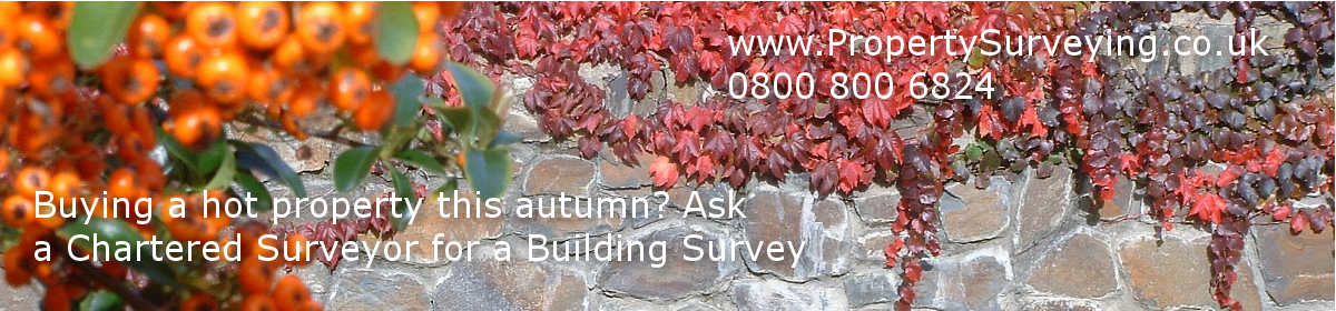 buying a hot property this autumn?