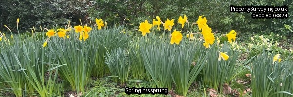 Property Surveying NEWSLETTER