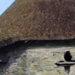 Thatched property in Devon