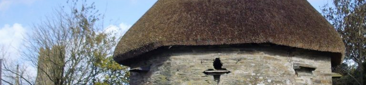 Thatched property in Devon