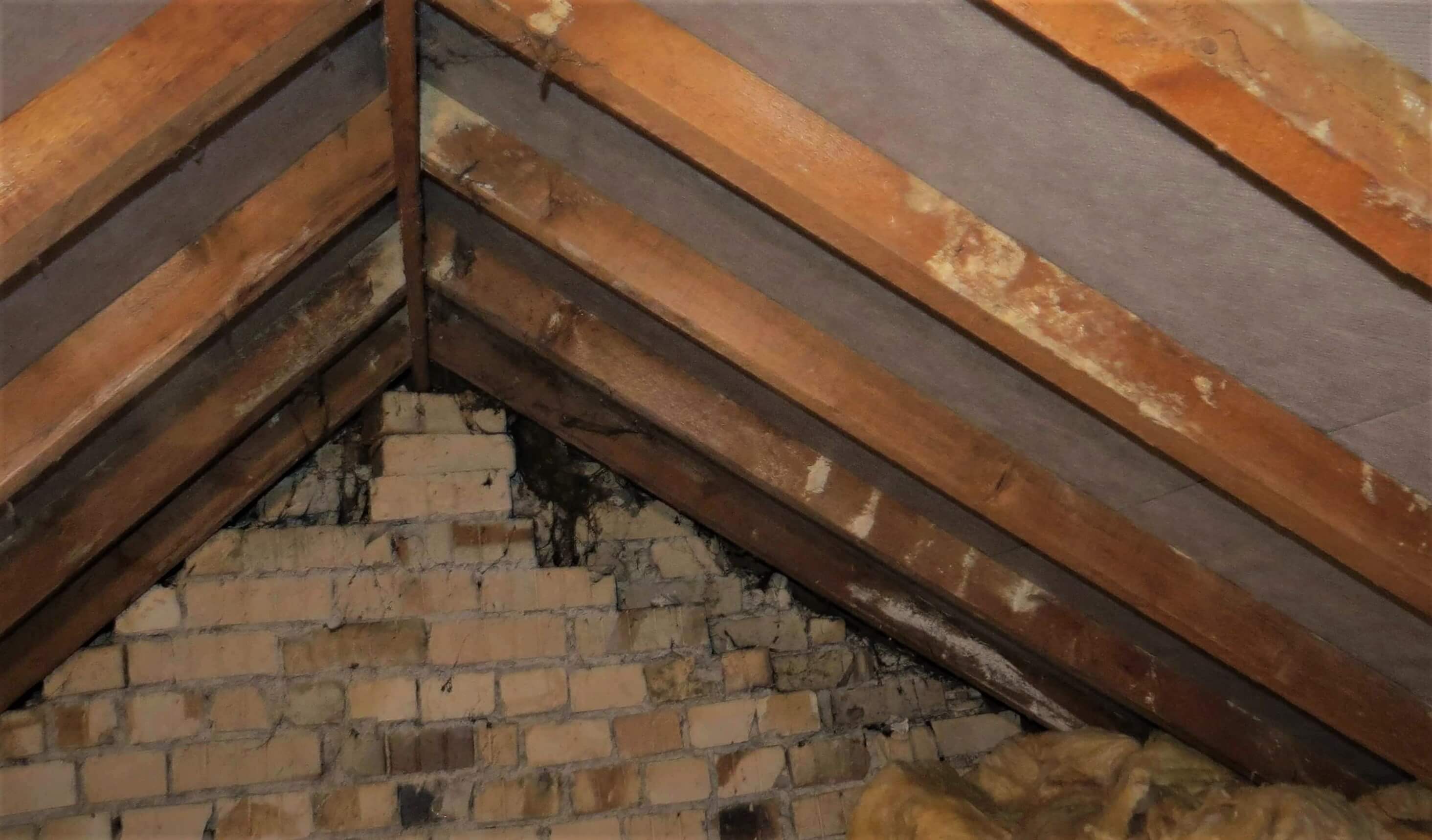 building-roofspace-joists Roof space surveys