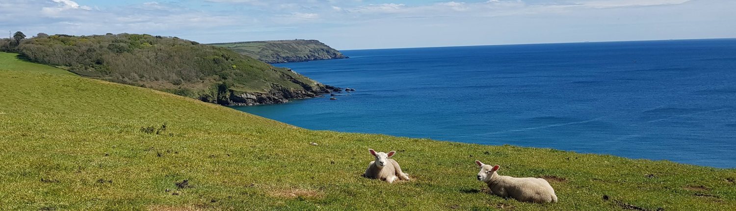 Coast at Gorran Haven