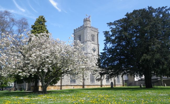 Church-trees-axminster St Mary's Church in Axminster