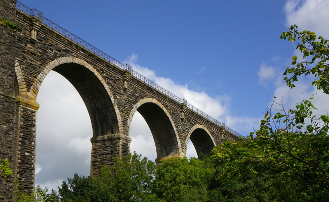viaduct-liskeard-tree Viaduct in Liskeard
