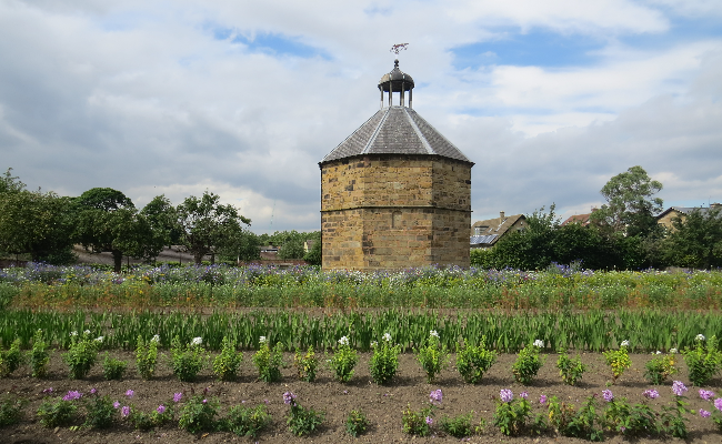 guisborough-building-garden Guisborough gardens