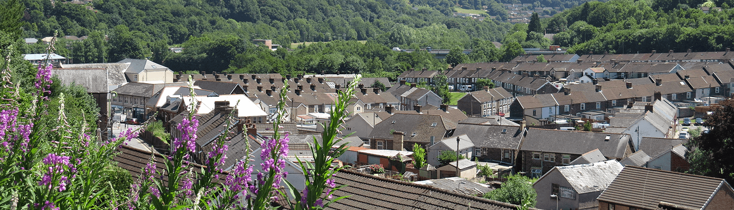 Newbridge rooftops