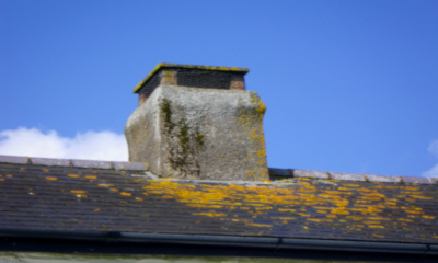 Chimney inspection