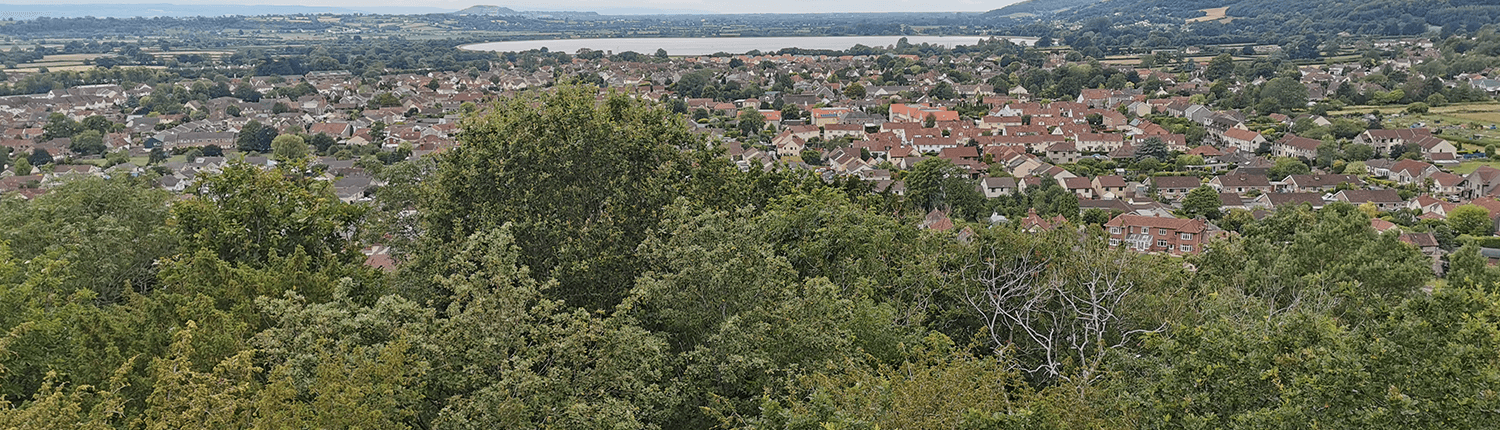 Cheddar housing with a backdrop of Cheddar reservoir