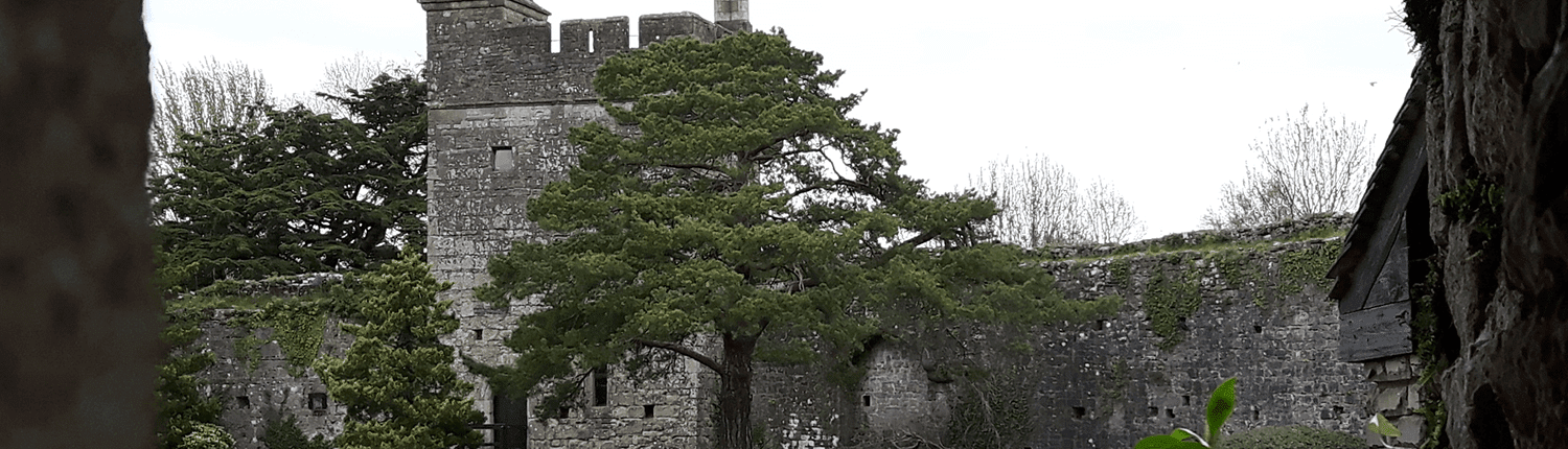 Caldicot Castle historic building