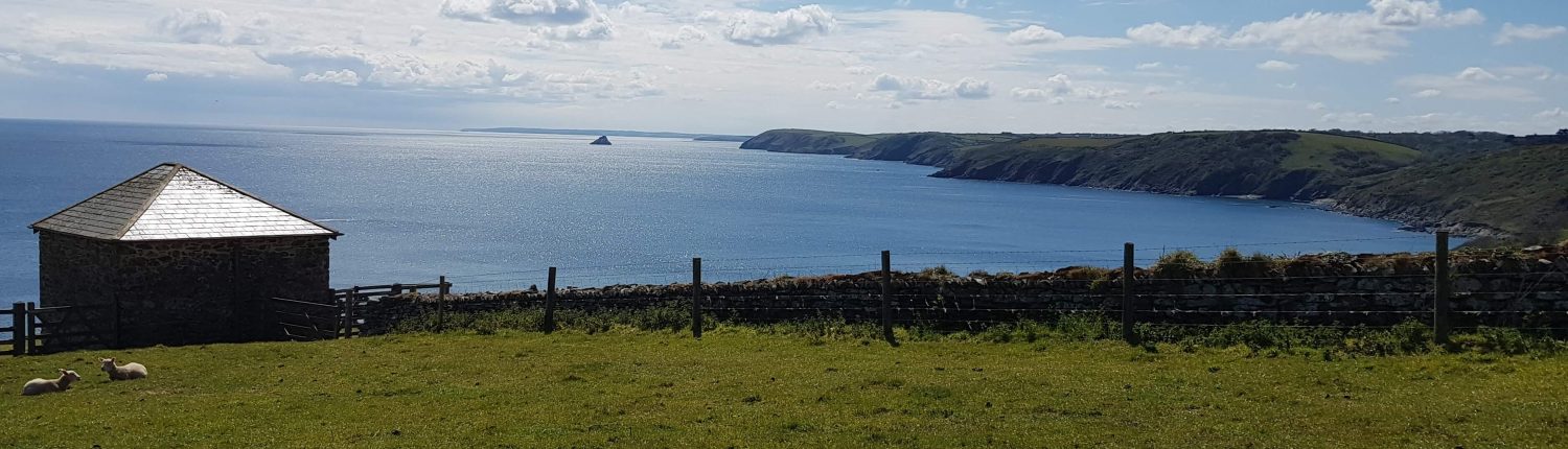 Coast at Portloe