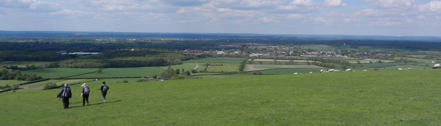A view of Ditchling from the hillside