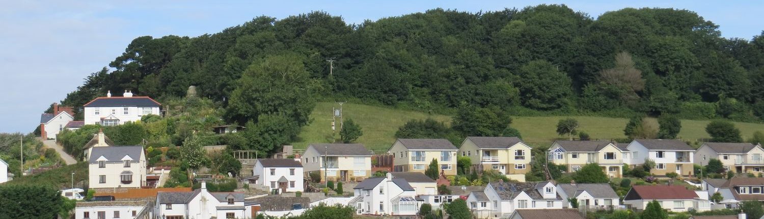 A view of houses on a hill in Braunton