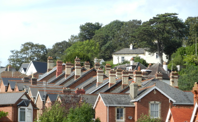 Newton abbot roofs