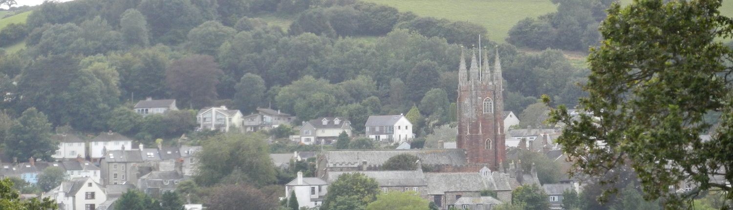 A view of Newton Abbot Town