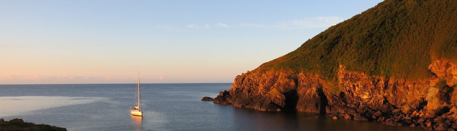 Cadgwith cove