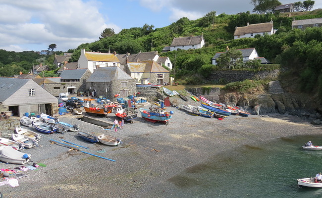 Cadgwith Cove