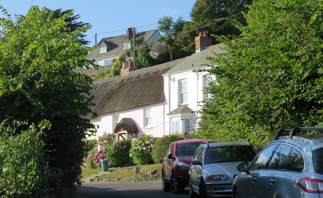 Thatched terraced properties