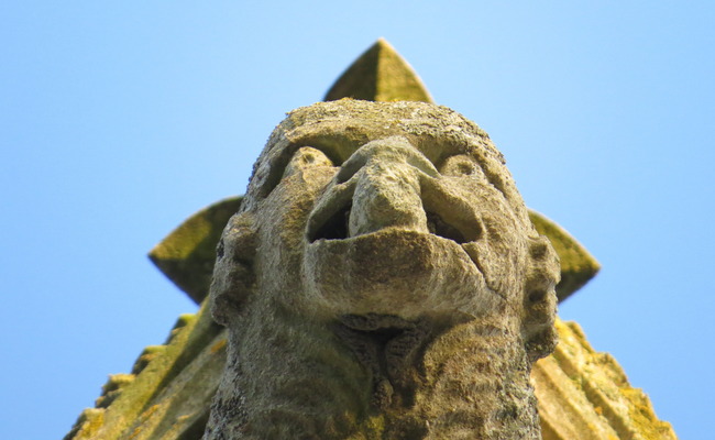 Close up of Gargoyle