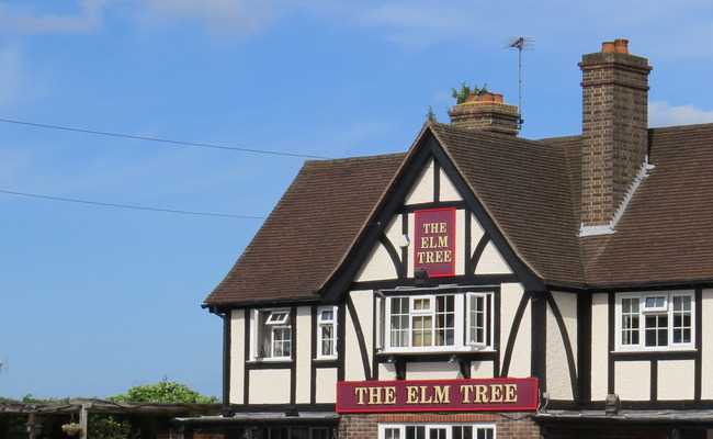 The Elm Tree in Aldershot