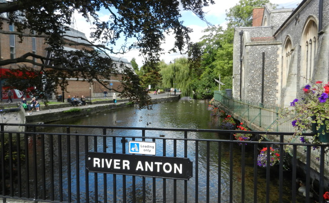 River Anton in Andover